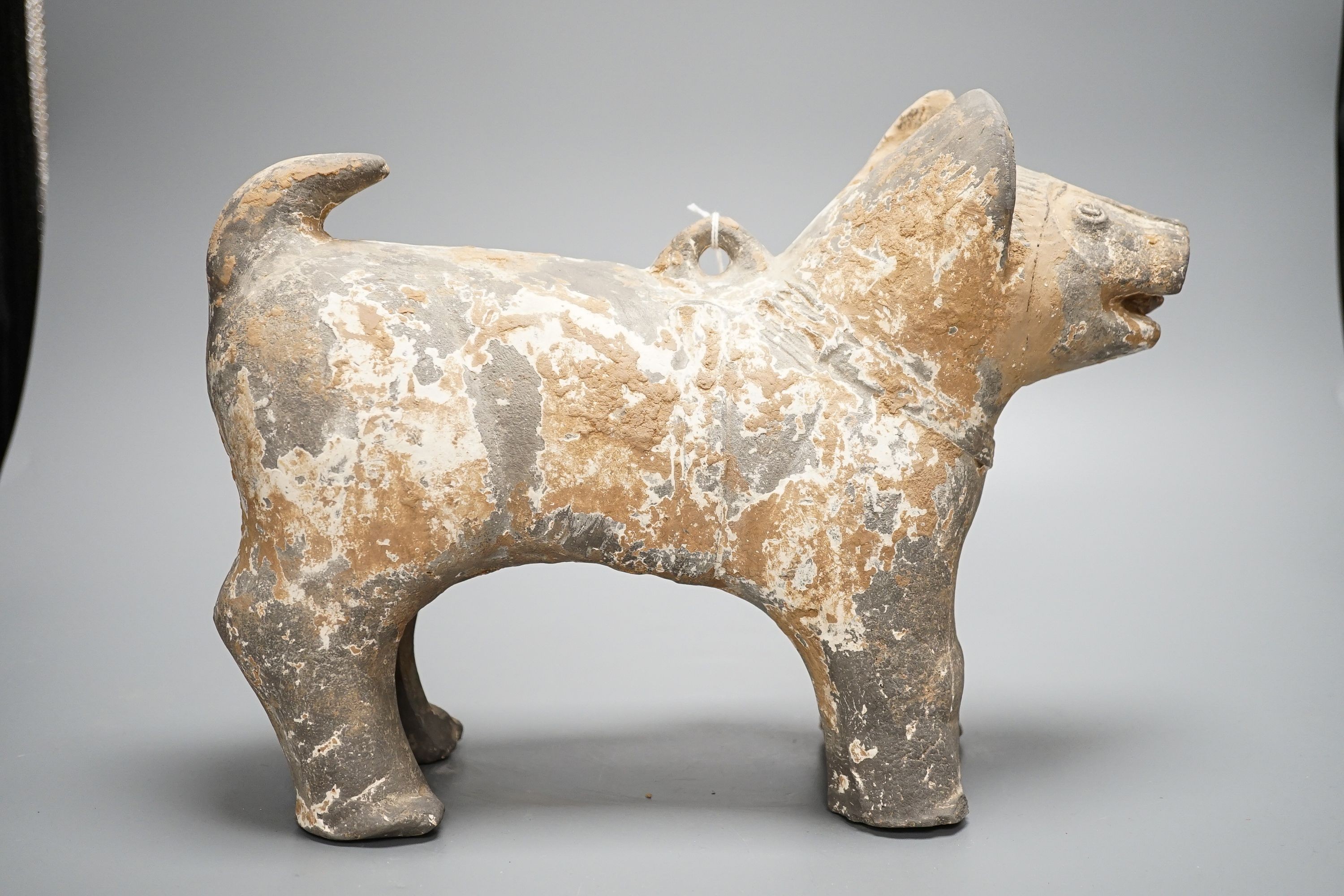 A Chinese painted grey pottery figure of a dog, probably Han dynasty, length 32cm, with 1991 invoice